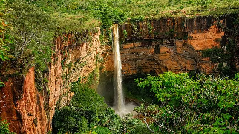 Cuiaba Porta de entrada para o Pantanal MT